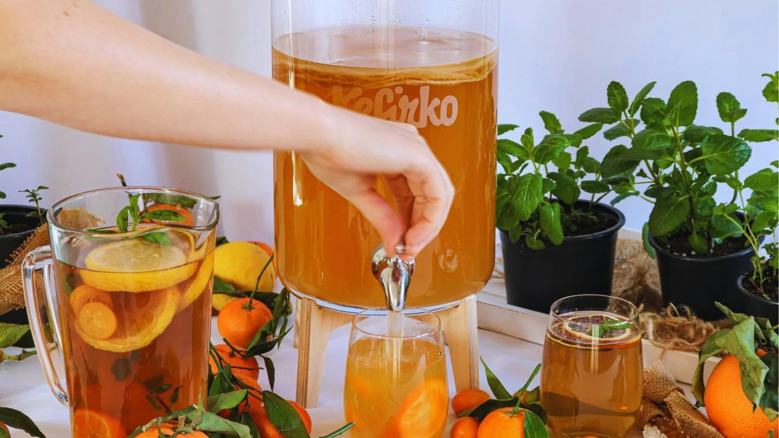 Hand pours citrus-infused kombucha from large Kefirko dispenser into glass surrounded by pitcher, oranges, lemons, kumquats, and fresh mint.