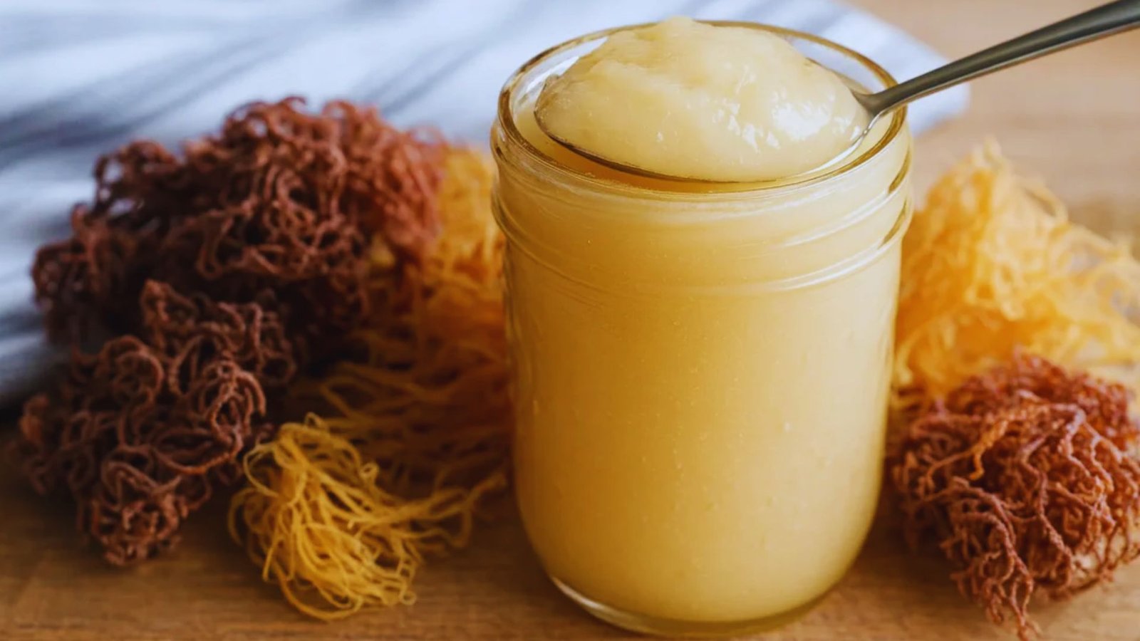Sea moss gel blended with milk and spices to make sea moss drink.